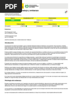 NTP - 413-Carga de Trabajo y Embarazo