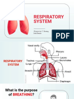 Respiratory System