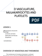 Module 1 - Blood Vasculature, Megakaryocytes and Platelets