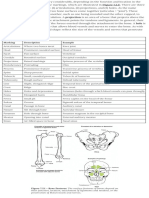 7.2 Bone Markings - Anatomy & Physiology