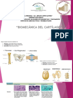 Biomecánica Del Cartílago