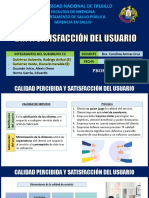 Dia 7 - Satisfacción Del Usuario