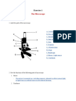 The Microscope: Exercise 1