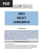 Delict Course Outline 2023