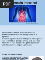 Eliminación Intestinal