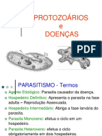 Aula 02 Parasitologia Protozoarios