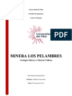 Minera Los Pelambres