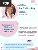 Modelo Sor Callista Roy