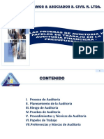 Pruebas de Auditoria y Papeles de Trabajo I