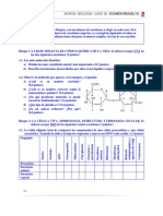 Murcia Biologia 2020