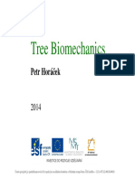 Tree Biomechanics Skriptum