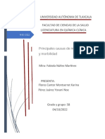 Investigacion de Primeras Causas de Mortalidad y Morbilidad