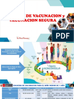 Esquema de Vacunacion y Vac Segura Clases