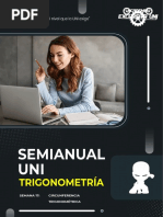 PD T Semianual 17pdf