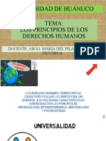 Los Principios de Los Derechos Humanos