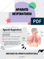 Aparato Respiratorio 2 49