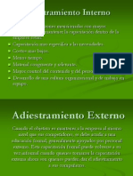 Adiestramiento Externo