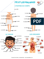 Fiche - La Santé Et Les Maladies