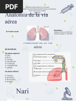 Anatomia Vias Aereas