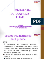 Aula Traumatoortopedia - Quadril