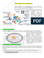 Teoria General de Los Sistemas TGS