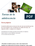 Tareas de Las Adolescencia