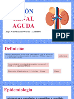 Lesion Renal Aguda