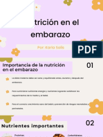 Nutrición en El Embarazo