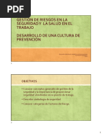 Gestion Seguridad y Prevención (PS&HO - May2023) FINAL