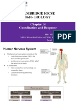 CAMBRIDGE IGCSE BIOLOGY Chapter 14 Coordination and Response