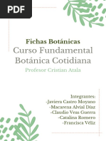 Fichas Botanicas Curso Botanica Cotidiana Grupo Tintes Naturales