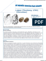 FAO - Crassostrea Gigas (AKA Magallana Gigas)