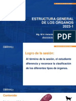 Histología y Embriología Animal Sem-05 Parte 01 2023-1