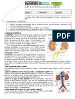 Practica de Laboratorio - Aparato Urinario