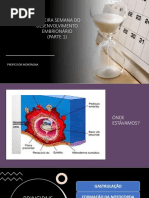 Terceira Semana Do Desenvolvimento Embrionário