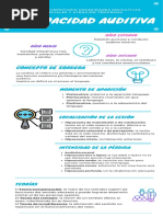 Infografía Discapacidad Auditiva