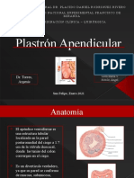 Plastron Apendicular