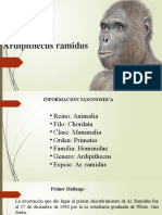 Ardipithecus Ramidus