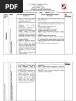 Prograa Analitico