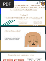 FISIOLOGIA - P02 - Conceptos Básicos de Homeostasis