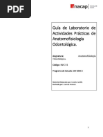 Guía Lab. Anatomofisiología Odontológica - Enero 2019 ALUMNO