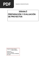 Informe 3 Preparacion y Evaluacion de Proyectos