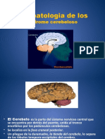 Sindrome Cerebeloso y Vestibular