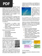 Tecnicas Intraorales