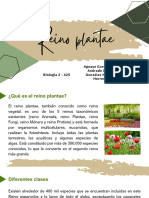 Reino Plantae