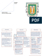 Mapa Conceptual