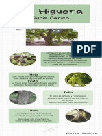 La Higuera Infografía