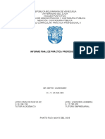 Informe de Practica Profesional Ii