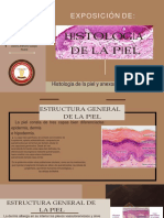 Piel PDF