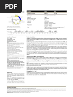 pTagBFP-C Vector - Evrogen